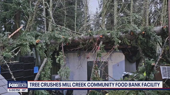 Tree crushes Mill Creek, WA food bank