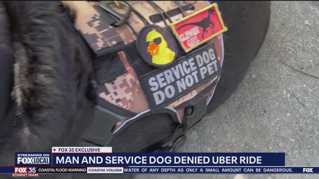 Florida veteran says he was denied Uber ride because of service dog: 'Slapped in the face'