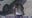 Philly rec center mass shooting: New video shows suspect
