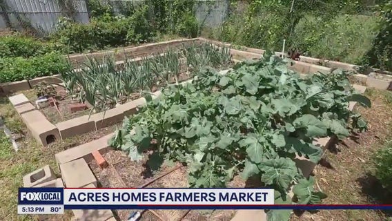 Acres Homes Farmers Market partners with METRO to bring fresh produce to food desert