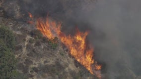 Pacific Palisades fire