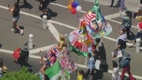Anti-ICE 4th of July rally