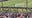 Fans fill Rose Bowl stands for Club World Cup