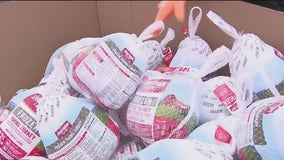 Long Island turkey drive shatters records