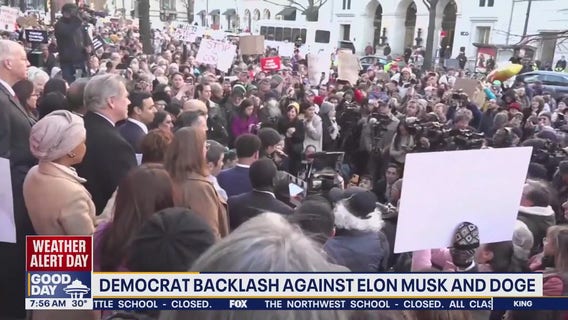 Democrat backlash against Elon Musk and DOGE