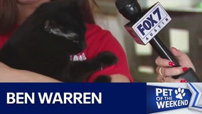 Adopt Ben Warren at Texas Humane Heroes