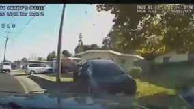 Dramatic North Bay police chase starts after driver seen on phone