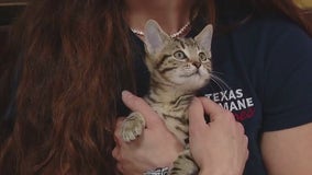 Meet Grippy Socks at Texas Humane Heroes