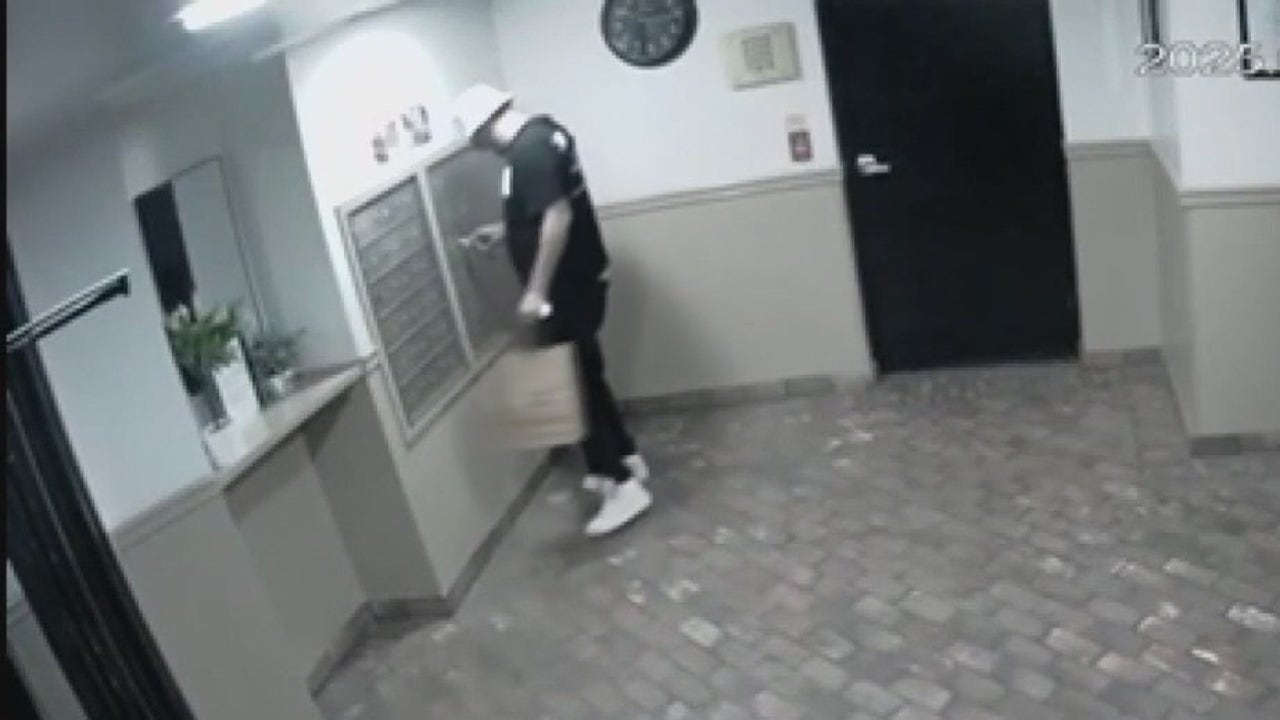 Alleged mail thief arrested | FOX 11 Los Angeles