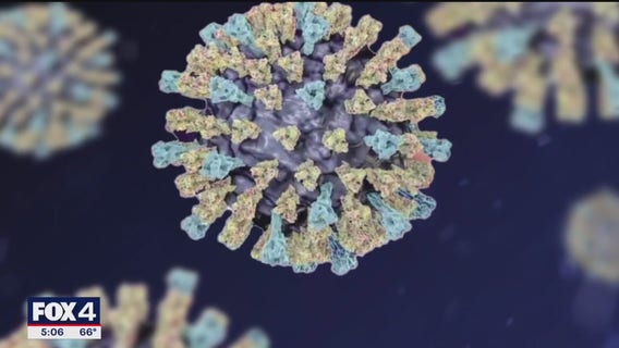 Texas measles outbreak 2025: Nearly 700 cases reported since January