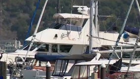 Zip Trips: Sausalito Boat Show and Trivia