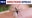 West Nile Virus cases on the rise