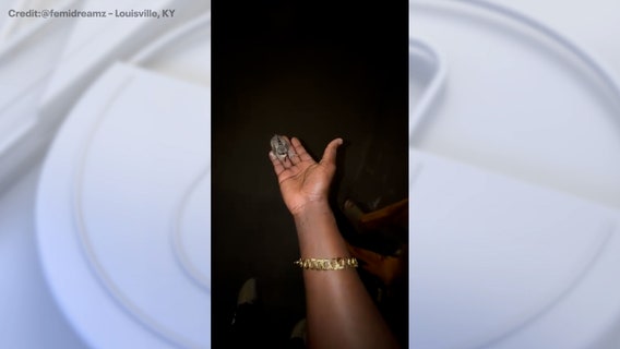 Watch: Baby bird rescued from storm drain, reunited with mother