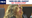 Closing arguments made in LVD trial; jury to decide her fate