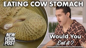 Would you eat cow stomach?