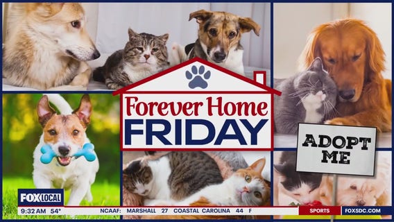 Forever home Friday w/ Montgomery County Animal Services
