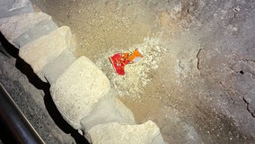 Snack left at Carlsbad Caverns disrupted ecosystem