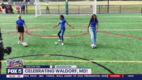 Zip Trip to Waldorf: Celebrating Waldorf!