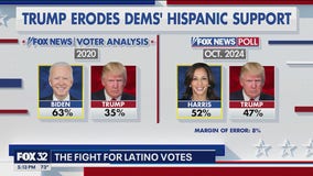 Trump erodes Dems' Hispanic support: poll