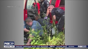 Crash in Lower Merion Twp. prompts Montgomery Avenue safety concerns in the community