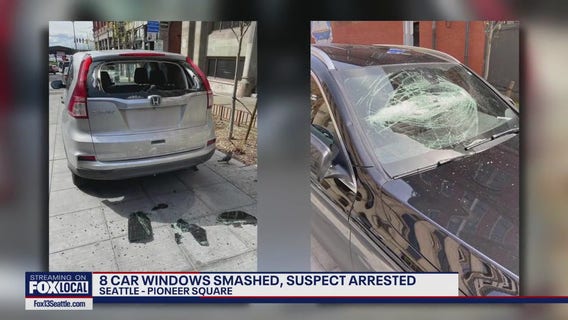Seattle car smashing spree causes $20K in damages