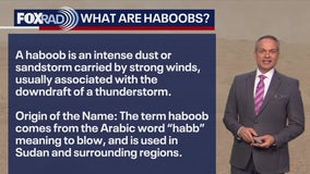What is a haboob and your latest weather headlines | Forecasting With Friends