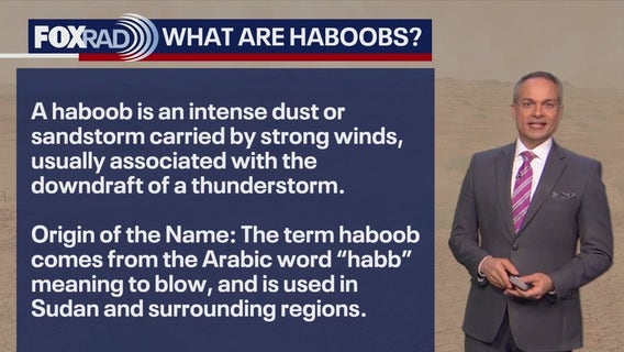 What is a haboob and your latest weather headlines | Forecasting With Friends