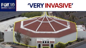 How this $3.2 million Israeli campaign will digitally target Arizona Christians with anti-Palestinian ads