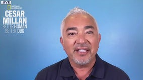 Cesar Millan talks 'Better Human Better Dog'