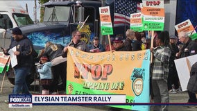 Teamsters showdown halts pumpkin weigh-off at Seattle's Elysian Brewing