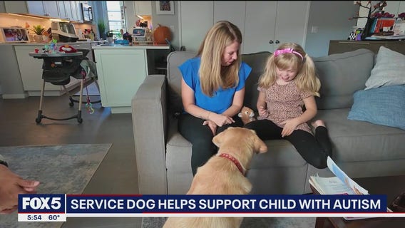 Service dog helps support child with autism