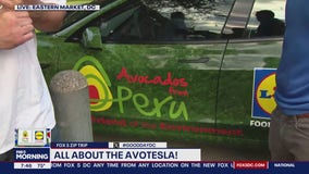 Zip Trip to Eastern Market: All about the Avotesla