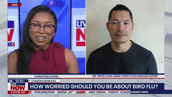 Trump FDA layoffs included staff working on bird flu response: Report