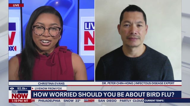 Trump FDA layoffs included staff working on bird flu response: Report