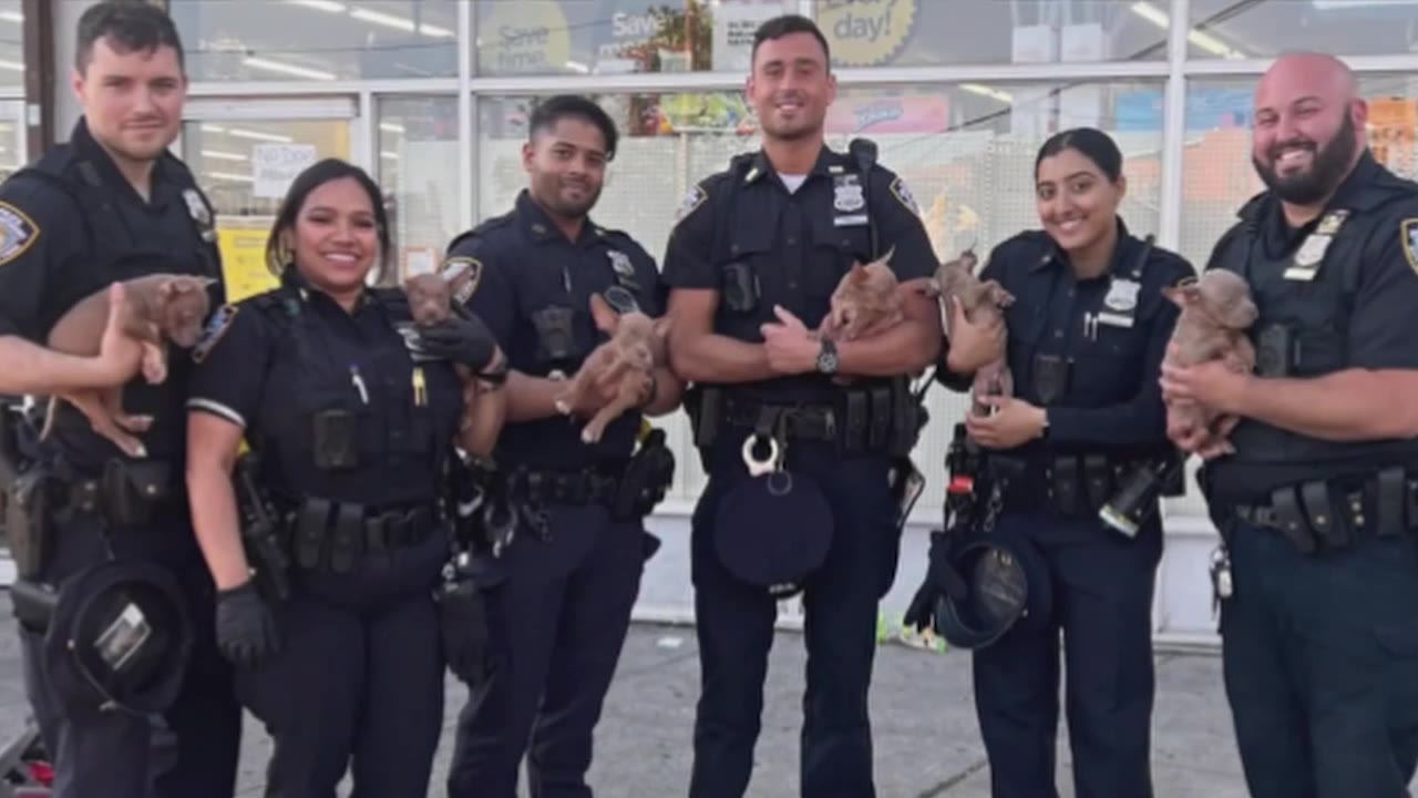 NYPD rescues puppies inside hot bag