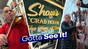 Gotta See It: Arts and Afterlife