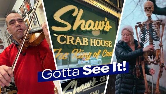 Gotta See It: Arts and Afterlife