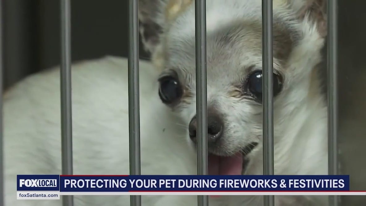 Fireworks, July 4 safety for pets