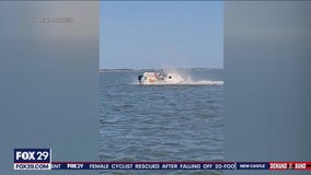 Whale dies after getting hit by boat, knocking passenger overboard in Barnegat Bay