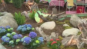Home & Garden Show