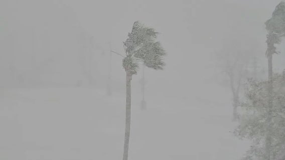 Houston Snow Day Showcase - Part 2