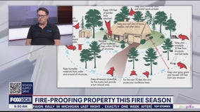 Creating defensible space this fire season