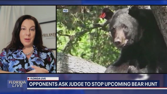 Opponents to bear hunt ask judge to halt hunt