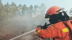 Wildfires turn deadly in Portugal, at least 7 dead