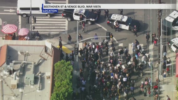 Venice HS students walkout to protest immigration policies