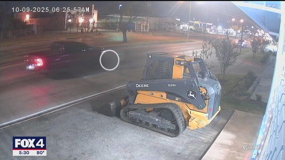 Trackdown: Driver wanted for hitting dog intentionally