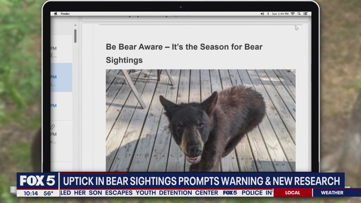 Officials warn with warm weather comes increased bear sightings