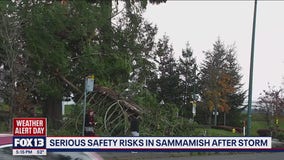 Bomb cyclone creates serious safety risks in Sammamish