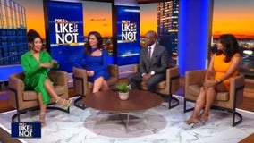 LION: August 29, 2025