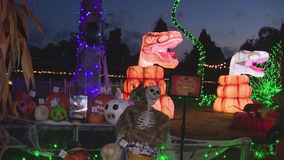 On the Jurassic Haunt at Dinosaur World